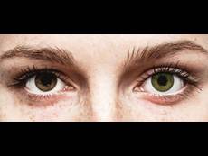 Vihreät linssit - FreshLook ColorBlends (2 kpl)