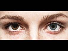 Siniset Sapphire linssit FreshLook ColorBlends - Tehoilla (2 kpl)