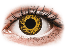 CRAZY LENS - Cheetah - Ei-Dioptriset (2 kpl)